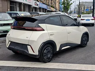 BYD Seagull 2024 купить из Китая, цена 1 216 000 ₽ — Suifenhe Auto