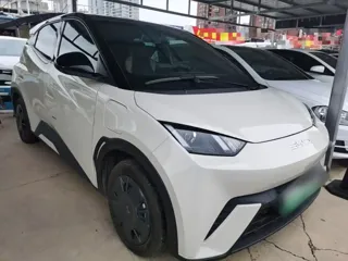 BYD Seagull 2024 купить из Китая, цена 1 347 000 ₽ — Suifenhe Auto