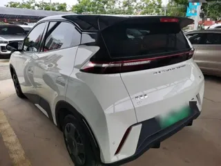 BYD Seagull 2024 купить из Китая, цена 1 347 000 ₽ — Suifenhe Auto