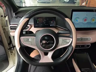 BYD Seagull 2025 купить из Китая, цена 1 403 000 ₽ — Suifenhe Auto