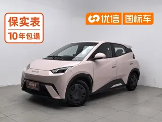 BYD Seagull 2024 купить из Китая, цена 1 147 000 ₽ — Suifenhe Auto