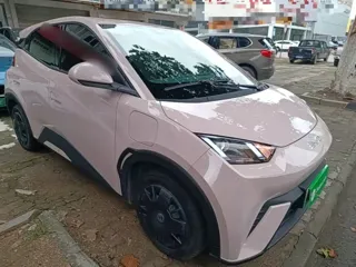 BYD Seagull 2024 купить из Китая, цена 1 340 000 ₽ — Suifenhe Auto