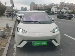 BYD Seagull 2024 купить из Китая, цена 1 273 000 ₽ — Suifenhe Auto