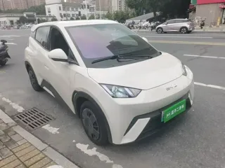 BYD Seagull 2024 купить из Китая, цена 1 273 000 ₽ — Suifenhe Auto