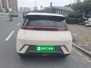 BYD Seagull 2024 купить из Китая, цена 1 273 000 ₽ — Suifenhe Auto