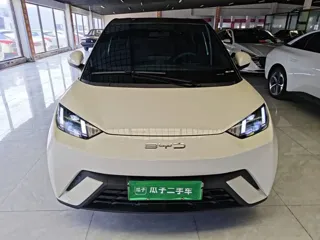 BYD Seagull 2024 купить из Китая, цена 1 300 000 ₽ — Suifenhe Auto