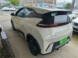BYD Seagull 2025 купить из Китая, цена 1 398 000 ₽ — Suifenhe Auto