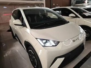 BYD Seagull 2023 купить из Китая, цена 1 291 000 ₽ — Suifenhe Auto