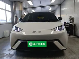 BYD Seagull 2024 купить из Китая, цена 1 350 000 ₽ — Suifenhe Auto