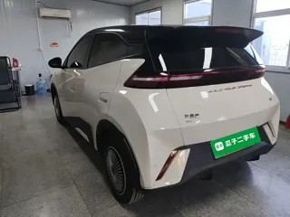 BYD Seagull 2024 купить из Китая, цена 1 350 000 ₽ — Suifenhe Auto