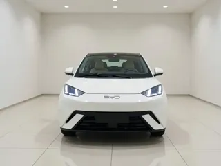 BYD Seagull 2024 купить из Китая, цена 1 307 000 ₽ — Suifenhe Auto