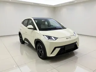 BYD Seagull 2024 купить из Китая, цена 1 307 000 ₽ — Suifenhe Auto