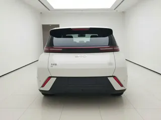 BYD Seagull 2024 купить из Китая, цена 1 307 000 ₽ — Suifenhe Auto