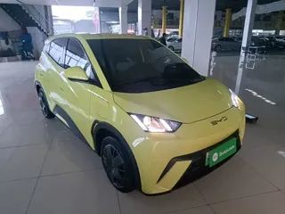 BYD Seagull 2024 купить из Китая, цена 1 350 000 ₽ — Suifenhe Auto