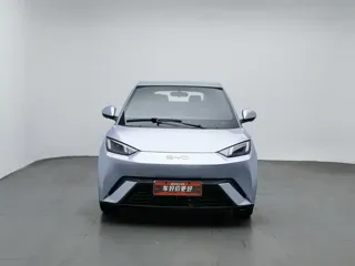 BYD Seagull 2024 купить из Китая, цена 1 274 000 ₽ — Suifenhe Auto