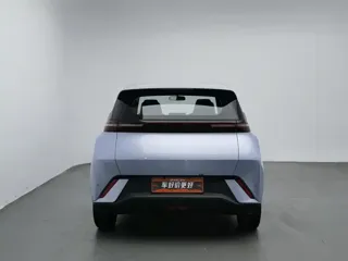 BYD Seagull 2024 купить из Китая, цена 1 274 000 ₽ — Suifenhe Auto
