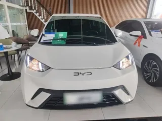 BYD Seagull 2024 купить из Китая, цена 1 380 000 ₽ — Suifenhe Auto
