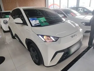 BYD Seagull 2024 купить из Китая, цена 1 380 000 ₽ — Suifenhe Auto