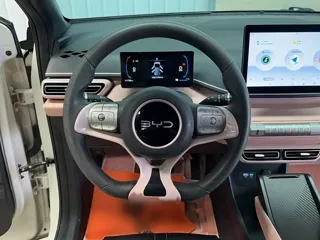 BYD Seagull 2024 купить из Китая, цена 1 367 000 ₽ — Suifenhe Auto