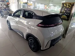 BYD Seagull 2025 купить из Китая, цена 1 350 000 ₽ — Suifenhe Auto