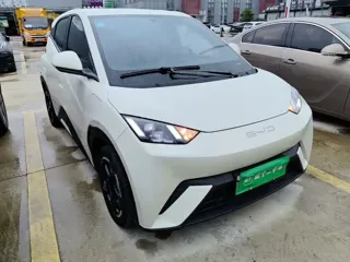 BYD Seagull 2023 купить из Китая, цена 1 303 000 ₽ — Suifenhe Auto