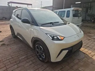 BYD Seagull 2024 купить из Китая, цена 1 403 000 ₽ — Suifenhe Auto
