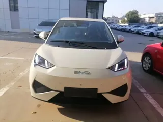 BYD Seagull 2025 купить из Китая, цена 1 544 000 ₽ — Suifenhe Auto