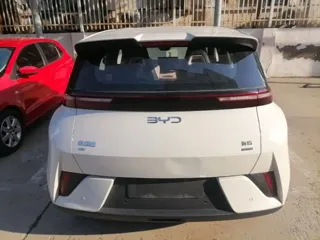 BYD Seagull 2025 купить из Китая, цена 1 544 000 ₽ — Suifenhe Auto