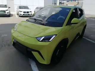 BYD Seagull 2024 купить из Китая, цена 1 616 000 ₽ — Suifenhe Auto