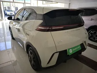 BYD Seagull 2024 купить из Китая, цена 1 310 000 ₽ — Suifenhe Auto