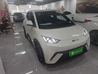 BYD Seagull 2024 купить из Китая, цена 1 348 000 ₽ — Suifenhe Auto