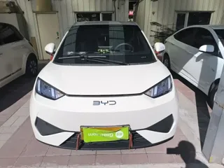BYD Seagull 2026 купить из Китая, цена 1 571 000 ₽ — Suifenhe Auto