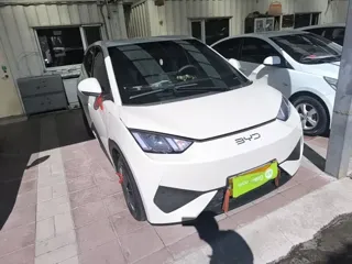 BYD Seagull 2026 купить из Китая, цена 1 571 000 ₽ — Suifenhe Auto