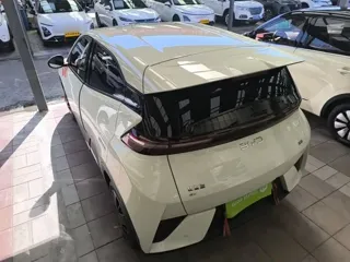 BYD Seagull 2026 купить из Китая, цена 1 571 000 ₽ — Suifenhe Auto