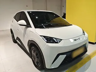 BYD Seagull 2023 купить из Китая, цена 1 273 000 ₽ — Suifenhe Auto