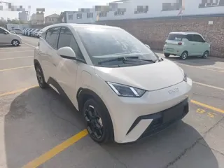 BYD Seagull 2024 купить из Китая, цена 1 355 000 ₽ — Suifenhe Auto