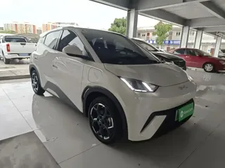 BYD Seagull 2024 купить из Китая, цена 1 531 000 ₽ — Suifenhe Auto