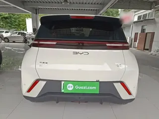 BYD Seagull 2024 купить из Китая, цена 1 531 000 ₽ — Suifenhe Auto