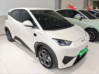 BYD Seagull 2025 купить из Китая, цена 1 511 000 ₽ — Suifenhe Auto