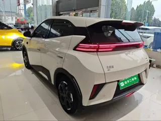 BYD Seagull 2025 купить из Китая, цена 1 511 000 ₽ — Suifenhe Auto