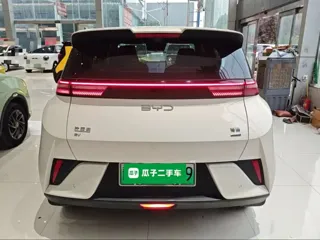 BYD Seagull 2025 купить из Китая, цена 1 511 000 ₽ — Suifenhe Auto