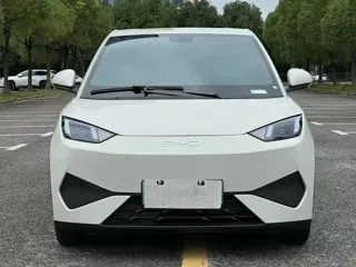 BYD Seagull 2025 купить из Китая, цена 1 353 000 ₽ — Suifenhe Auto