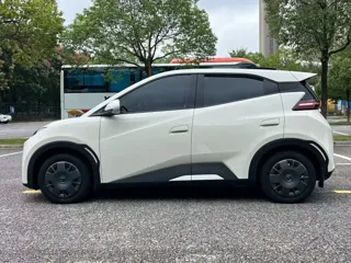 BYD Seagull 2025 купить из Китая, цена 1 353 000 ₽ — Suifenhe Auto