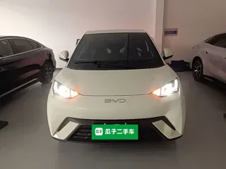 BYD Seagull 2024 купить из Китая, цена 1 305 000 ₽ — Suifenhe Auto