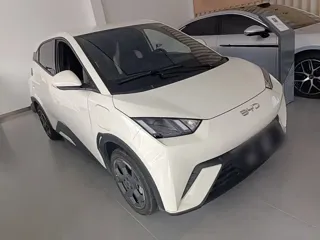 BYD Seagull 2024 купить из Китая, цена 1 305 000 ₽ — Suifenhe Auto