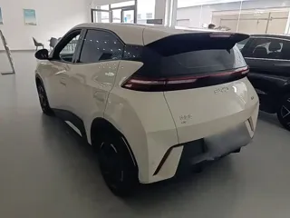 BYD Seagull 2024 купить из Китая, цена 1 305 000 ₽ — Suifenhe Auto