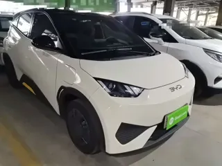 BYD Seagull 2025 купить из Китая, цена 1 395 000 ₽ — Suifenhe Auto