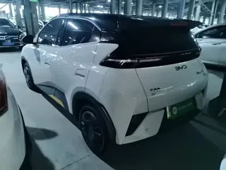 BYD Seagull 2025 купить из Китая, цена 1 395 000 ₽ — Suifenhe Auto
