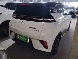 BYD Seagull 2025 купить из Китая, цена 1 395 000 ₽ — Suifenhe Auto