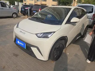 BYD Seagull 2023 купить из Китая, цена 1 141 000 ₽ — Suifenhe Auto